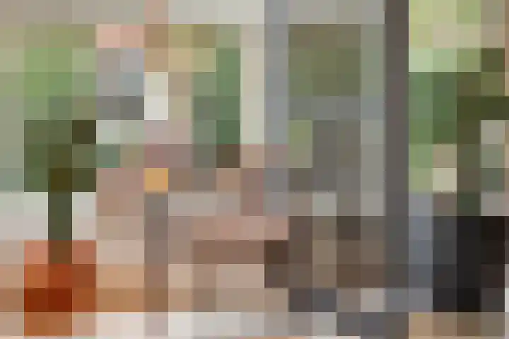 Monseigneur van den Hurklaan 10 a Heesch thumbnail 28