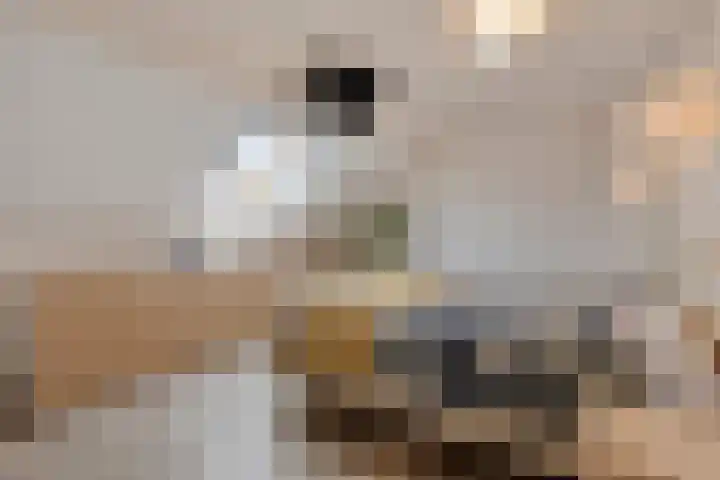 Monseigneur van den Hurklaan 10 a Heesch thumbnail 32
