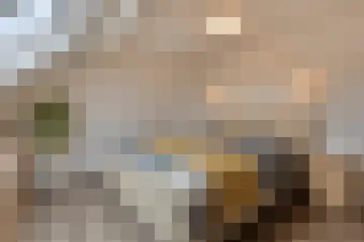 Monseigneur van den Hurklaan 10 a Heesch thumbnail 33