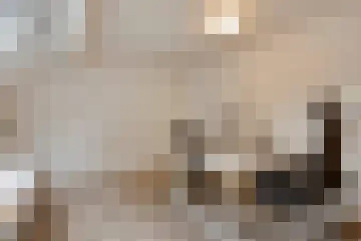 Monseigneur van den Hurklaan 10 a Heesch thumbnail 35