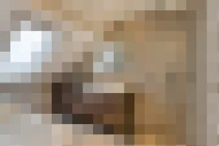 Monseigneur van den Hurklaan 10 a Heesch thumbnail 37
