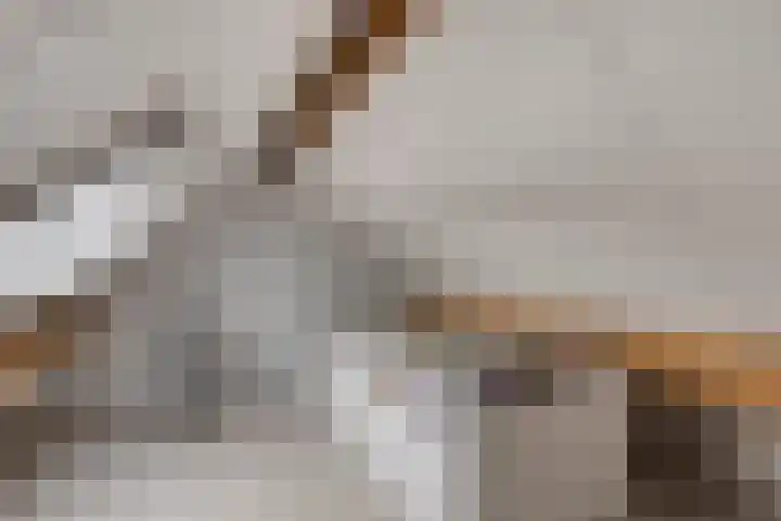 Monseigneur van den Hurklaan 10 a Heesch thumbnail 40