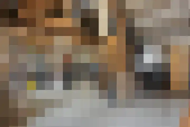Monseigneur van den Hurklaan 10 a Heesch thumbnail 43