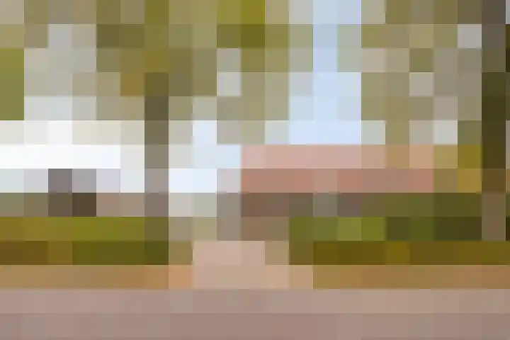 Monseigneur van den Hurklaan 10 a Heesch thumbnail 56