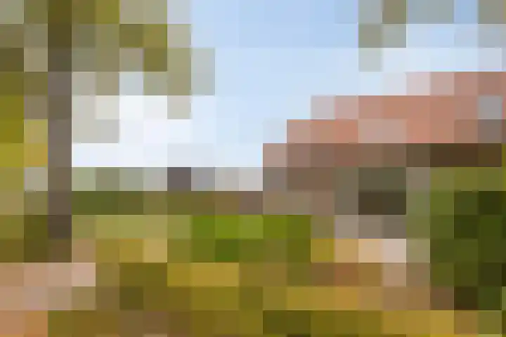 Monseigneur van den Hurklaan 10 a Heesch thumbnail 58