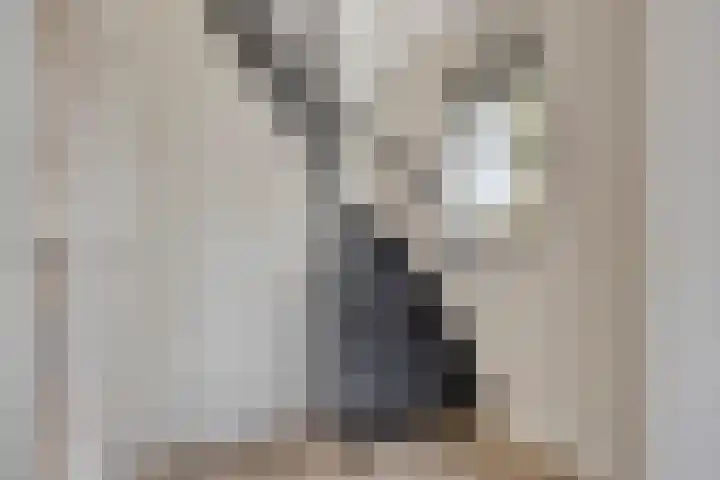 Monseigneur van den Hurklaan 10 a Heesch thumbnail 6