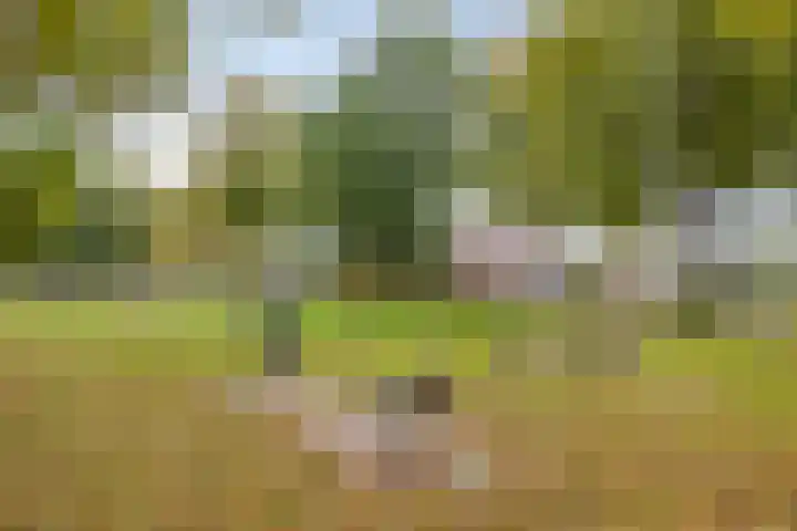 Monseigneur van den Hurklaan 10 a Heesch thumbnail 60