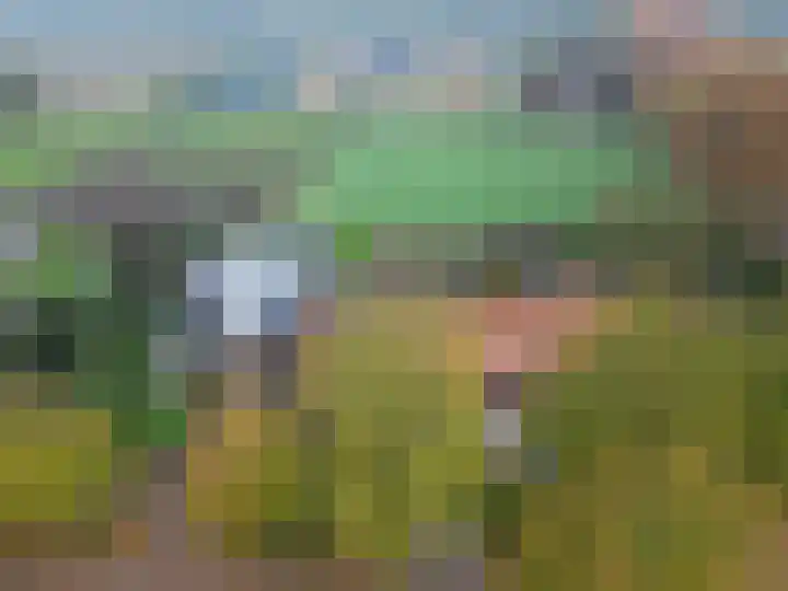 Monseigneur van den Hurklaan 10 a Heesch thumbnail 61
