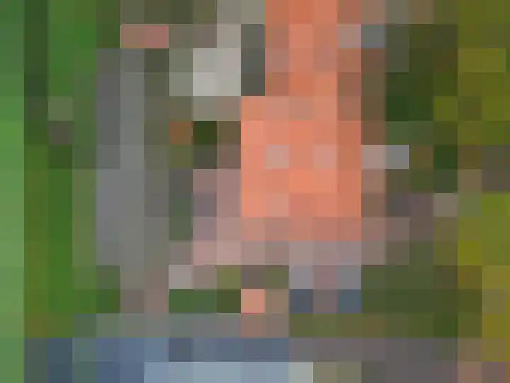 Monseigneur van den Hurklaan 10 a Heesch thumbnail 63