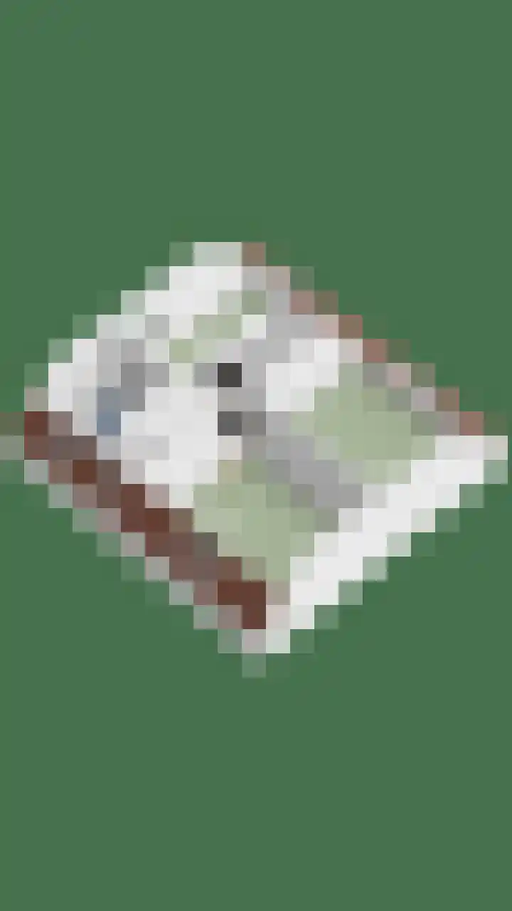 Monseigneur van den Hurklaan 10 a Heesch thumbnail 69