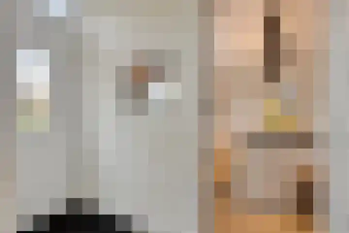 Monseigneur van den Hurklaan 10 a Heesch thumbnail 7