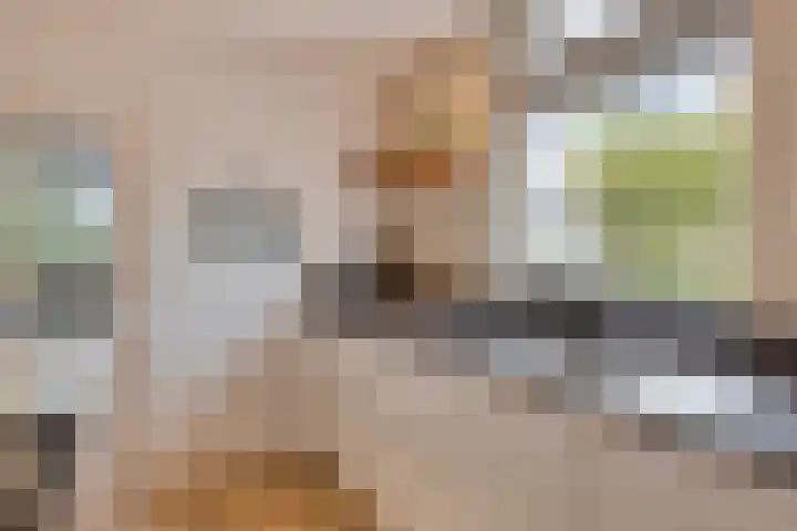 Monseigneur van den Hurklaan 10 a Heesch thumbnail 9