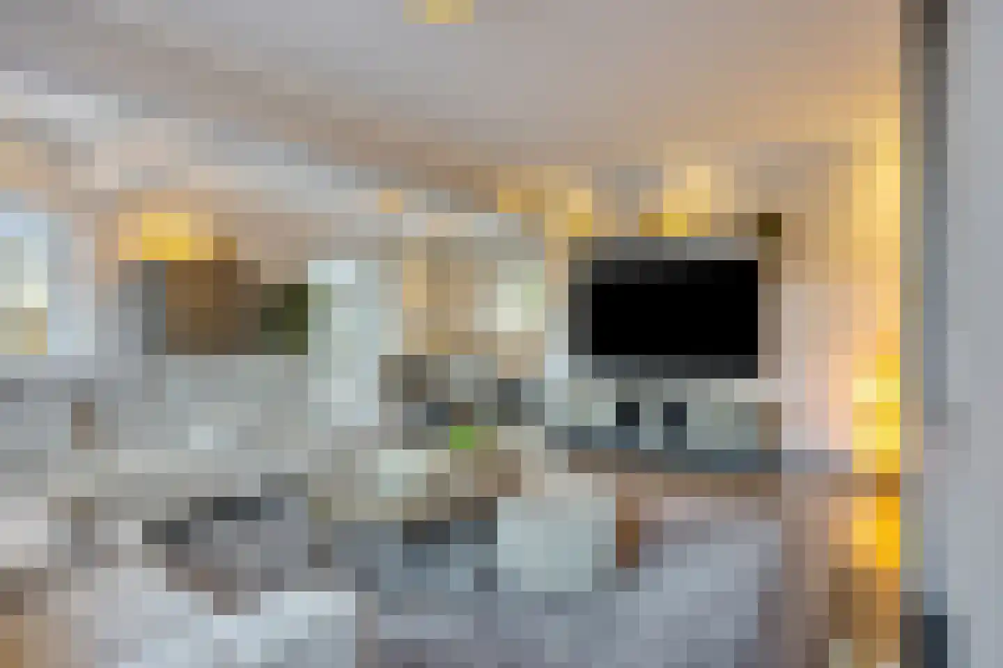 Monseigneur van den Hurklaan 12 a Heesch thumbnail 13