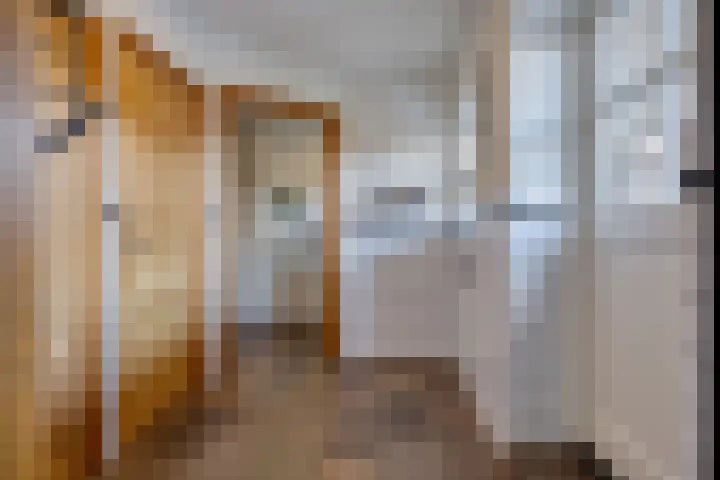 Monseigneur van den Hurklaan 12 a Heesch thumbnail 17