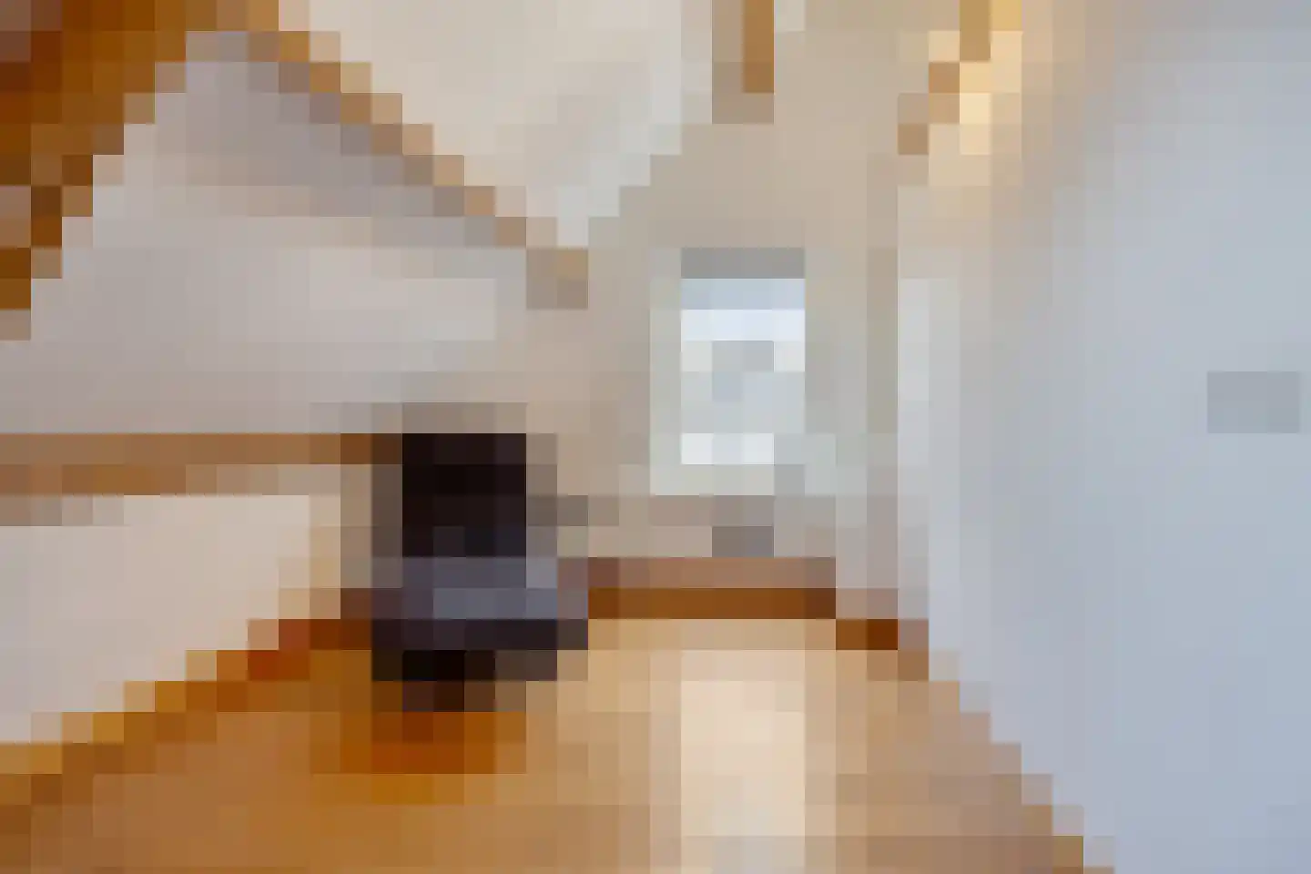 Monseigneur van den Hurklaan 12 a Heesch thumbnail 29
