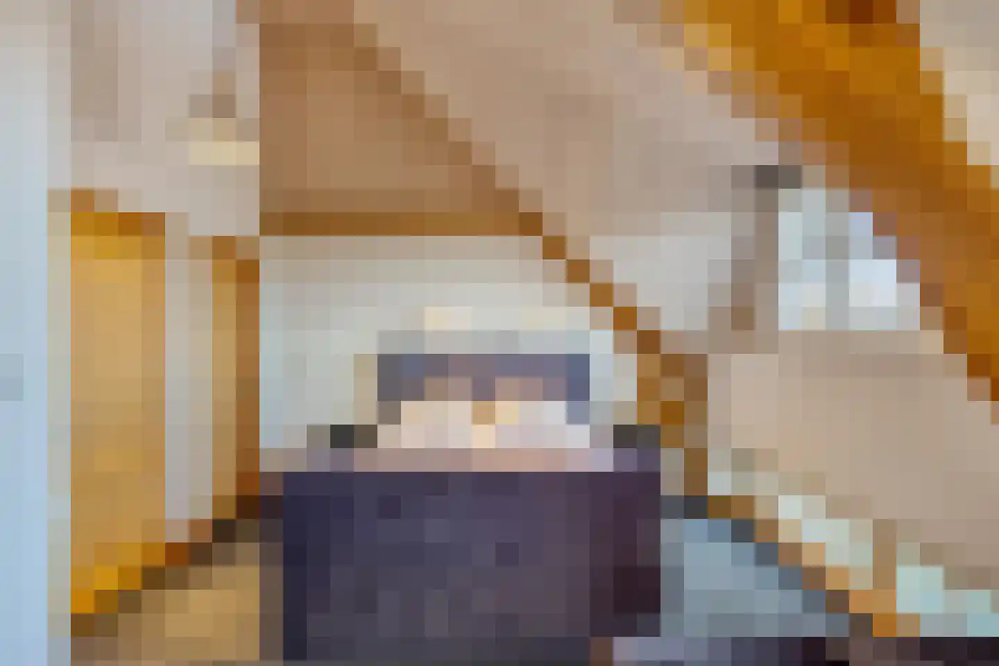 Monseigneur van den Hurklaan 12 a Heesch thumbnail 30