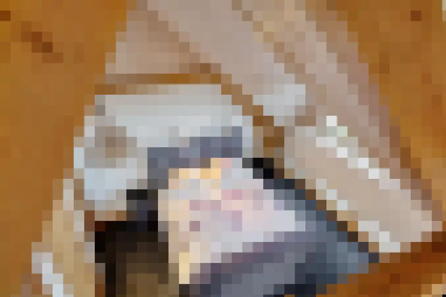 Monseigneur van den Hurklaan 12 a Heesch thumbnail 32