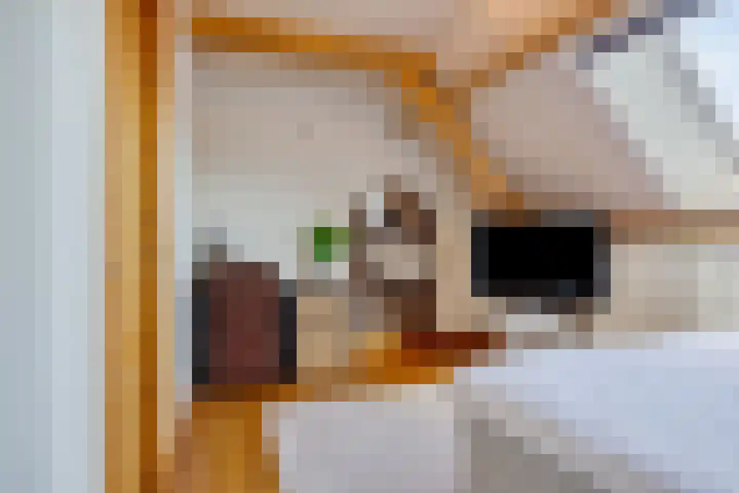 Monseigneur van den Hurklaan 12 a Heesch thumbnail 34