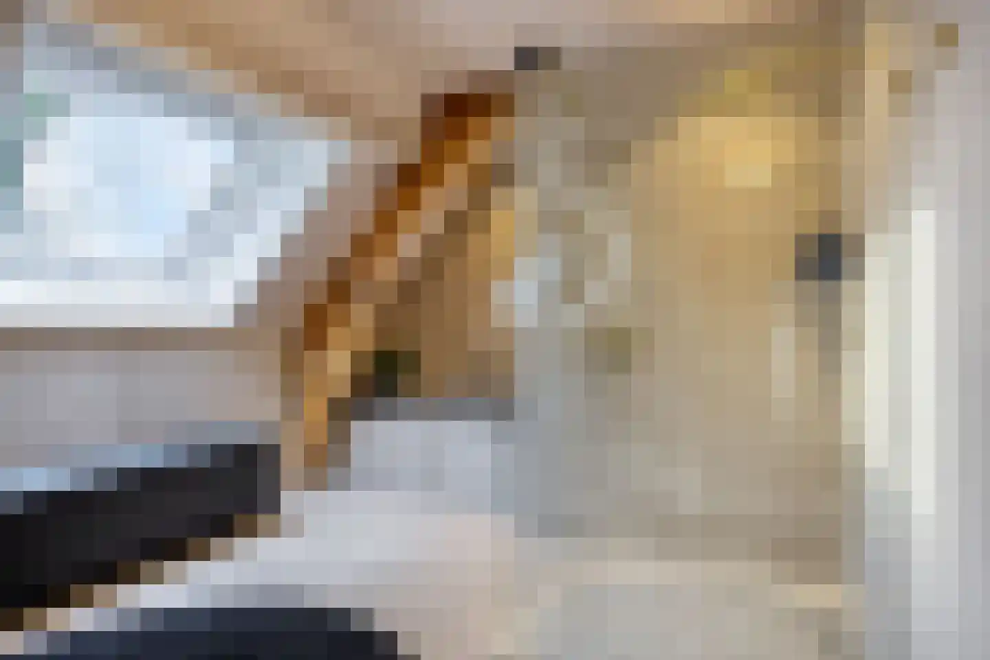 Monseigneur van den Hurklaan 12 a Heesch thumbnail 37