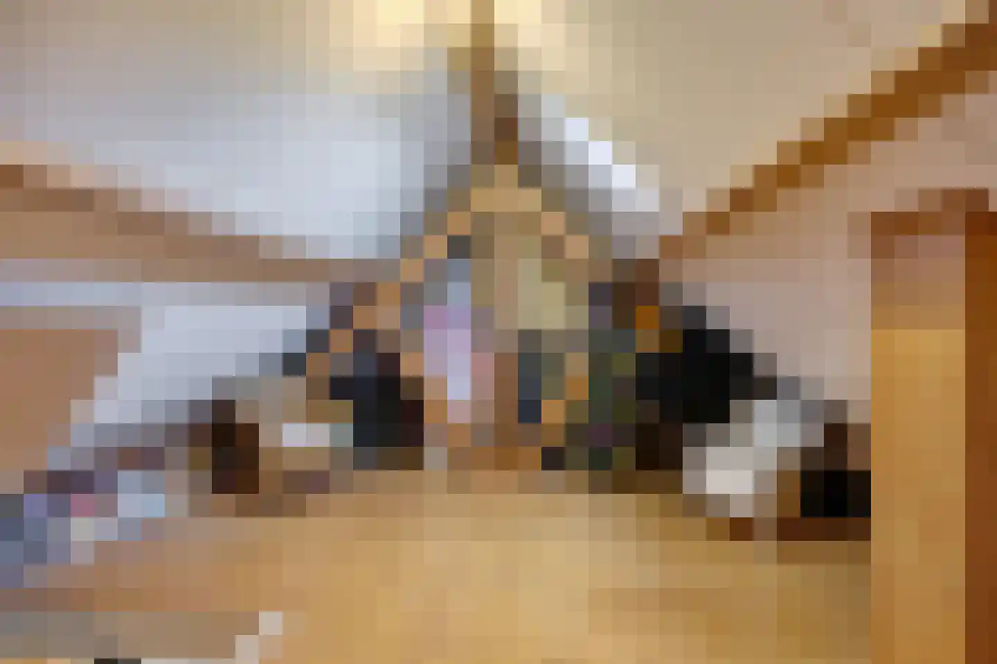 Monseigneur van den Hurklaan 12 a Heesch thumbnail 47