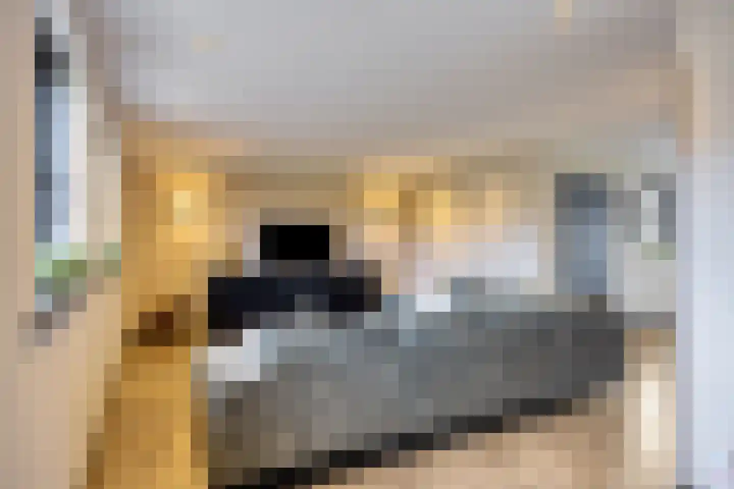 Monseigneur van den Hurklaan 12 a Heesch thumbnail 56