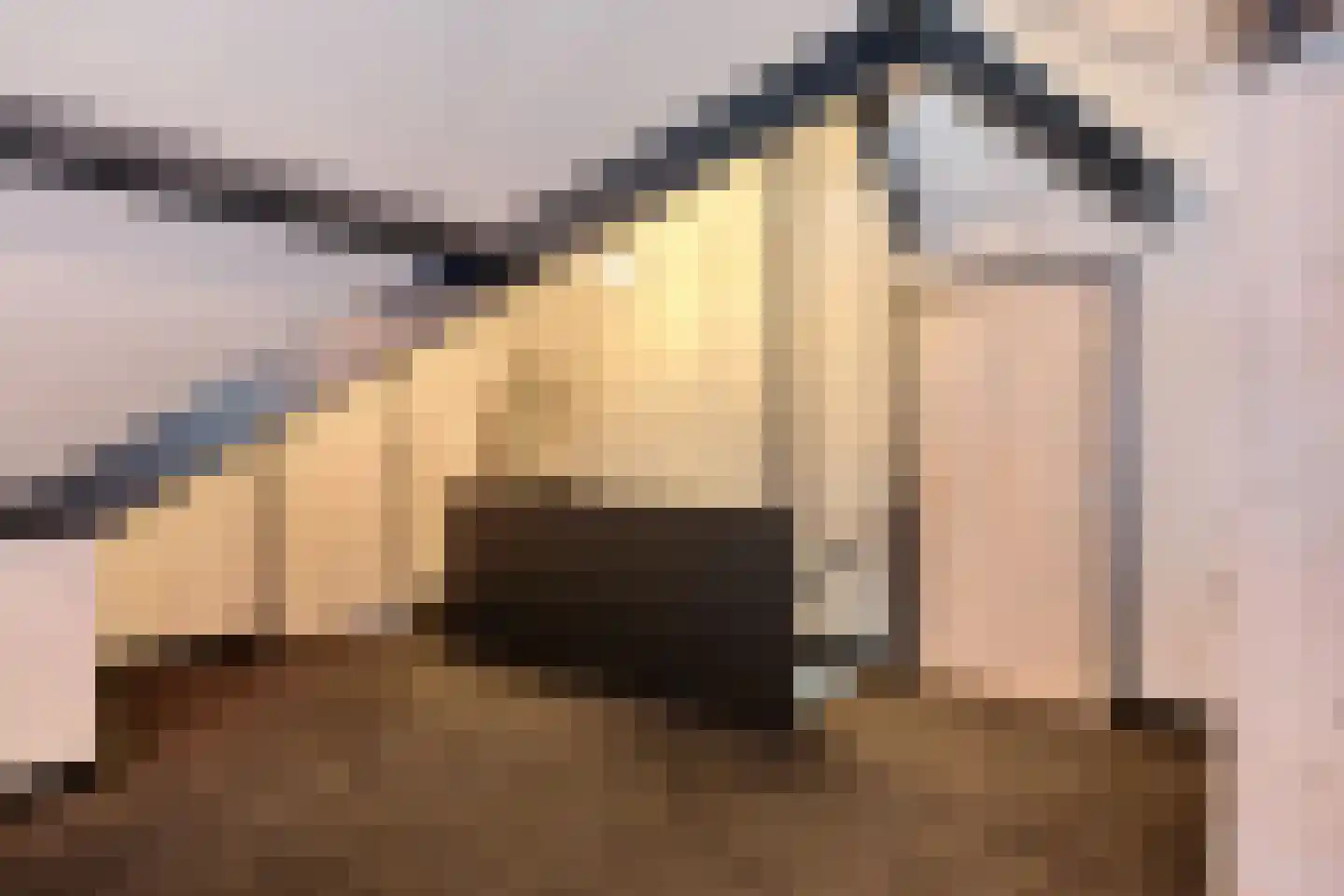 Monseigneur van den Hurklaan 12 a Heesch thumbnail 66