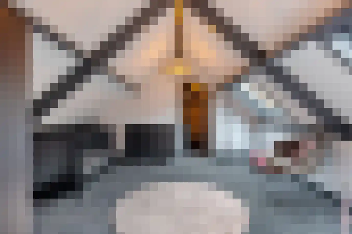 Monseigneur van den Hurklaan 12 a Heesch thumbnail 69