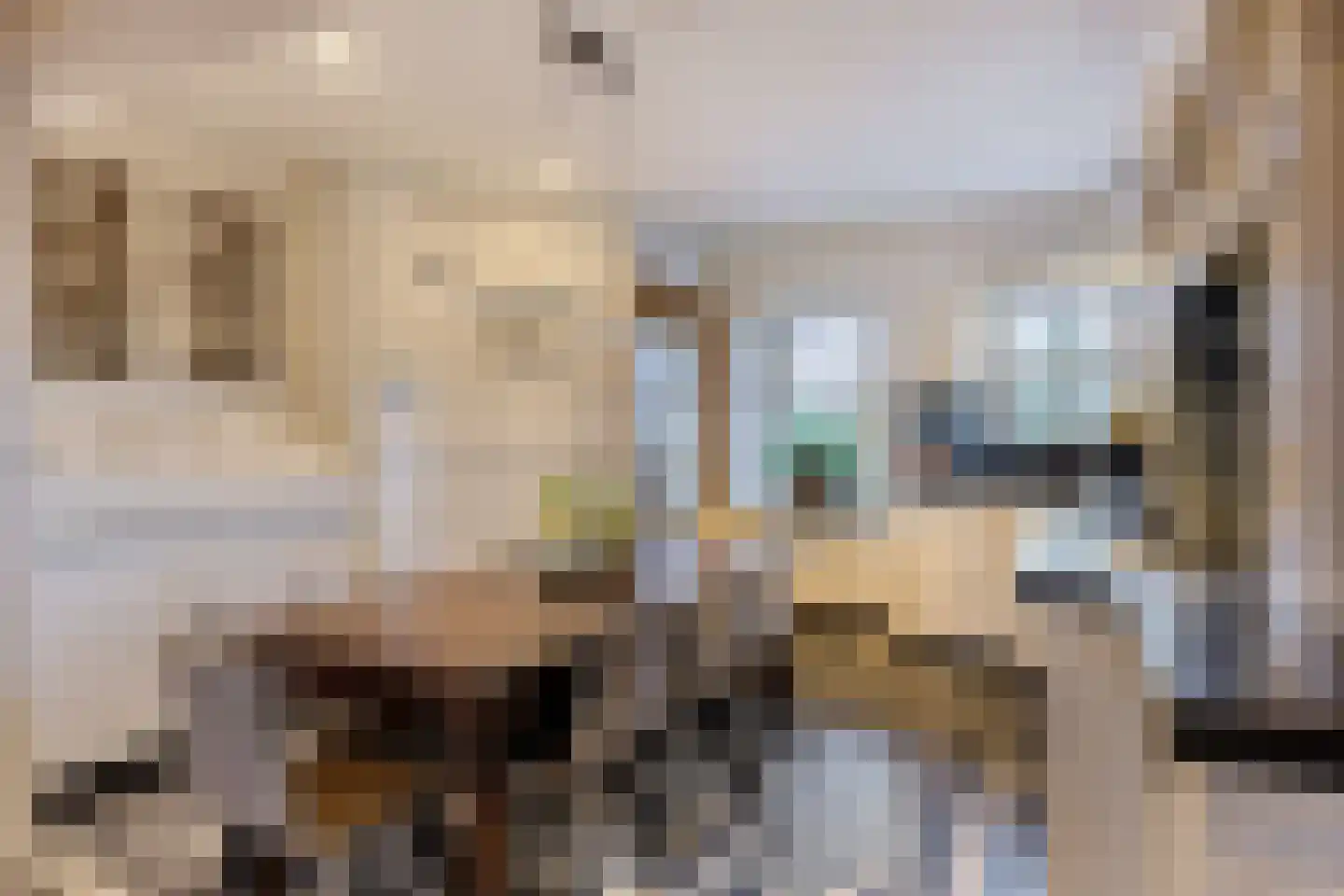 Monseigneur van den Hurklaan 12 a Heesch thumbnail 7