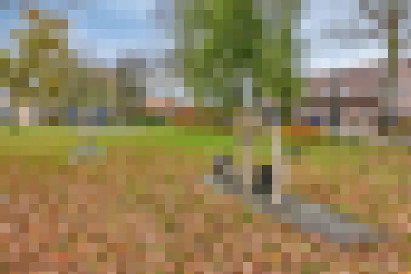 Monseigneur van den Hurklaan 12 a Heesch thumbnail 86