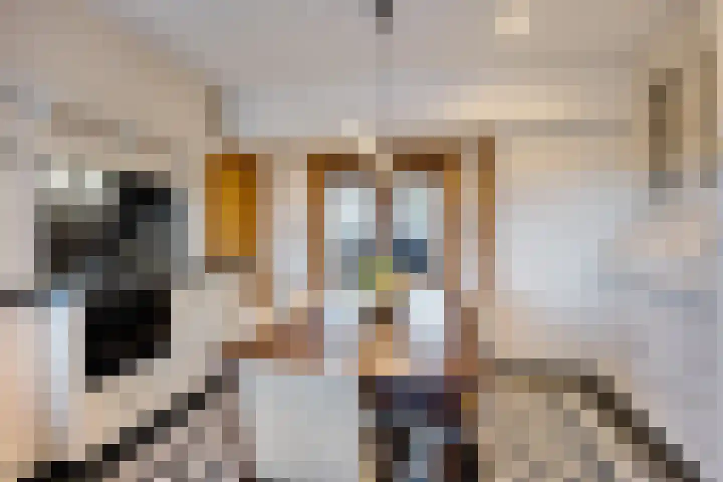 Monseigneur van den Hurklaan 12 a Heesch thumbnail 9