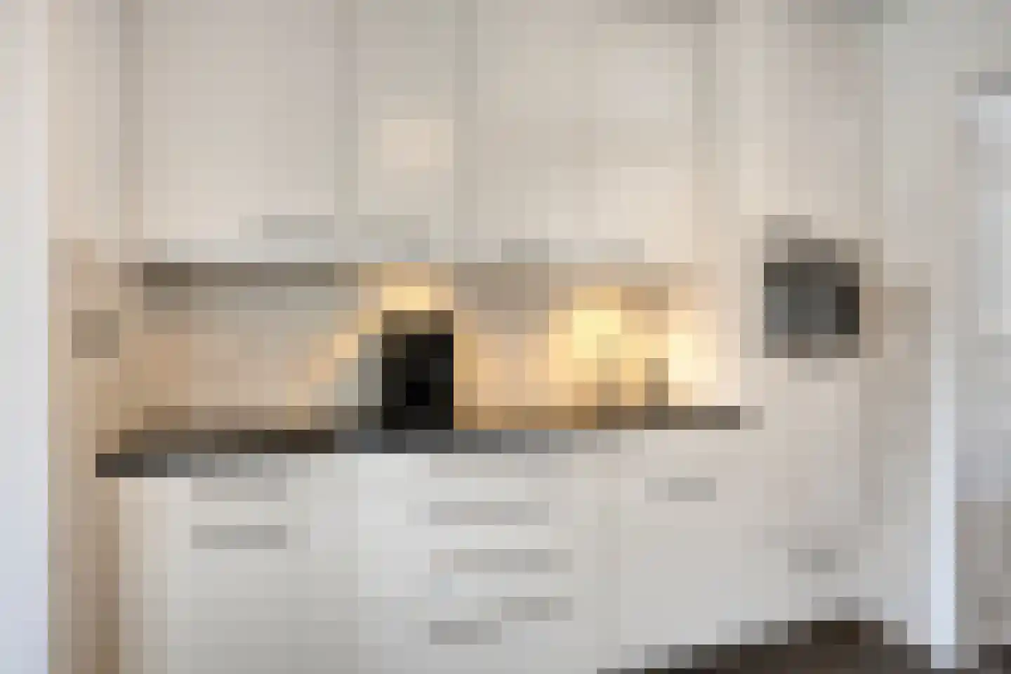 Monseigneur van den Hurklaan 22 Heesch thumbnail 11