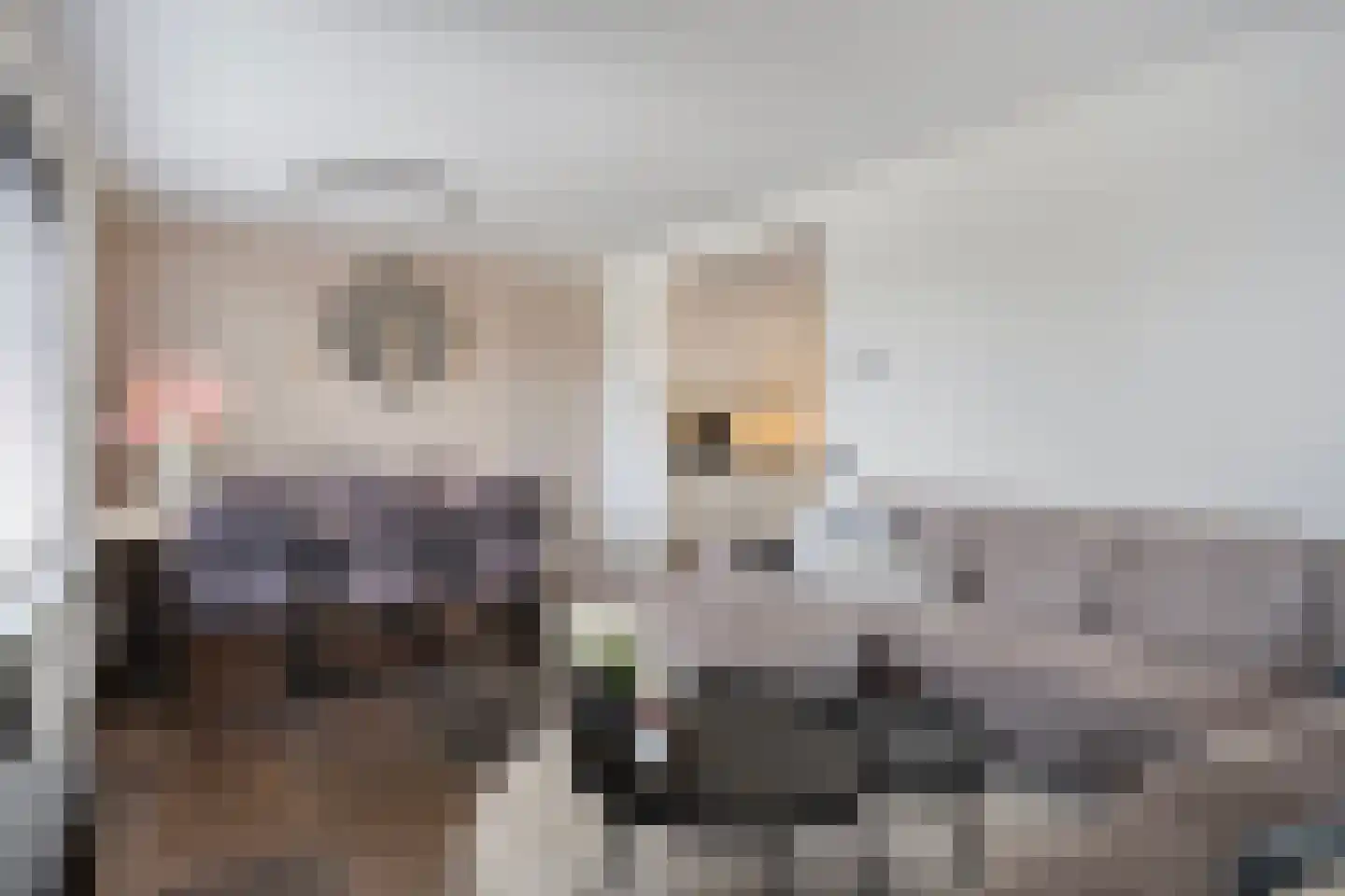 Monseigneur van den Hurklaan 22 Heesch thumbnail 7