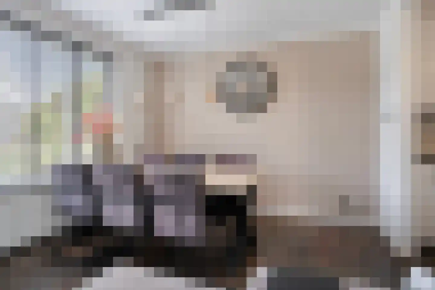 Monseigneur van den Hurklaan 22 Heesch thumbnail 8