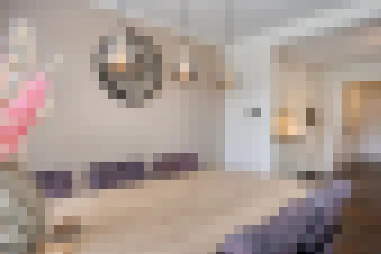 Monseigneur van den Hurklaan 22 Heesch thumbnail 9