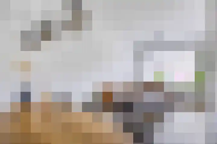 Monseigneur van Enckevoirtstraat 10 Sambeek thumbnail 12