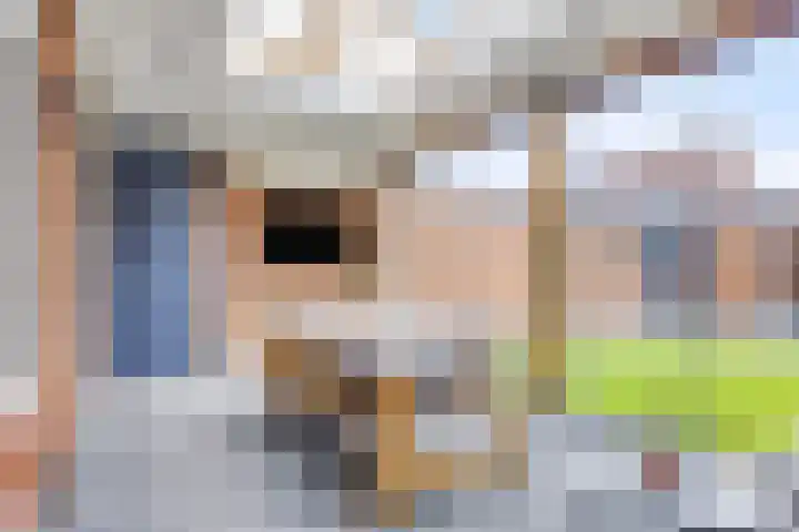 Monseigneur van Enckevoirtstraat 10 Sambeek thumbnail 23