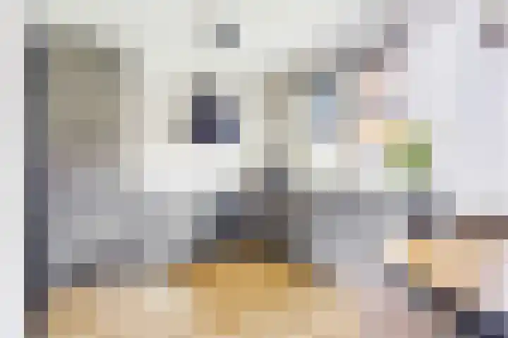 Monseigneur van Enckevoirtstraat 10 Sambeek thumbnail 4