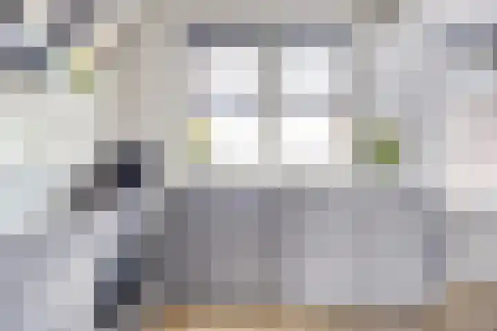 Monseigneur van Enckevoirtstraat 10 Sambeek thumbnail 5