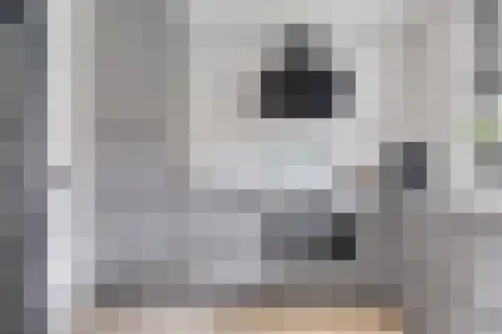 Monseigneur van Enckevoirtstraat 10 Sambeek thumbnail 7