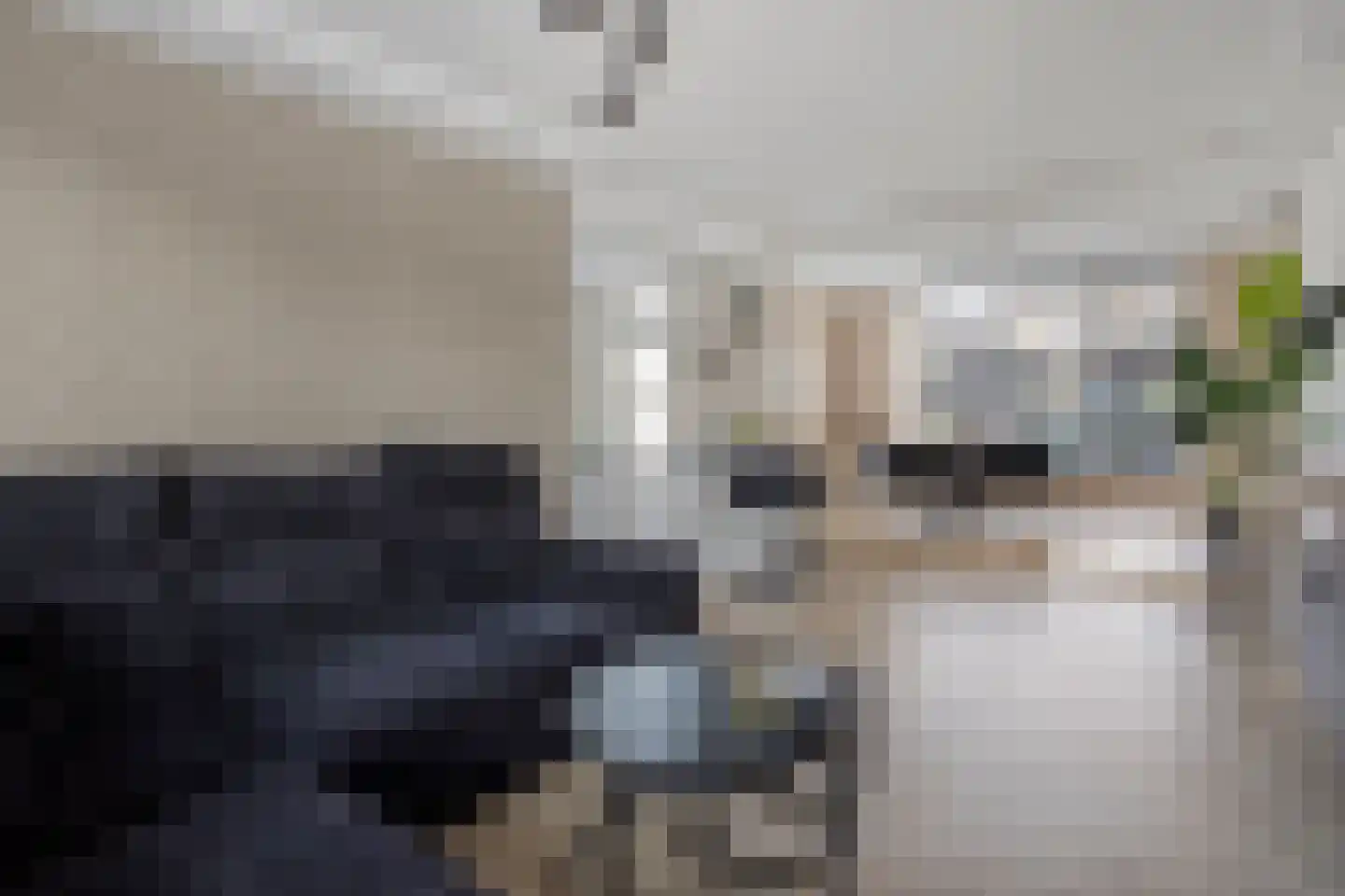 Monseigneur van Enckevoirtstraat 7 Sambeek thumbnail 13