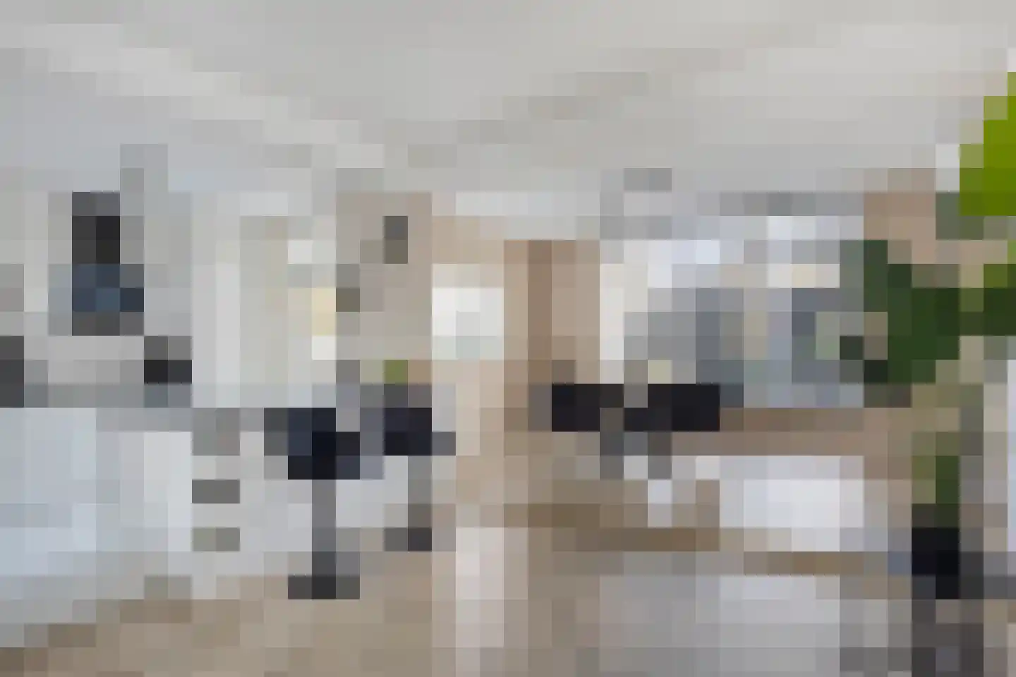 Monseigneur van Enckevoirtstraat 7 Sambeek thumbnail 14