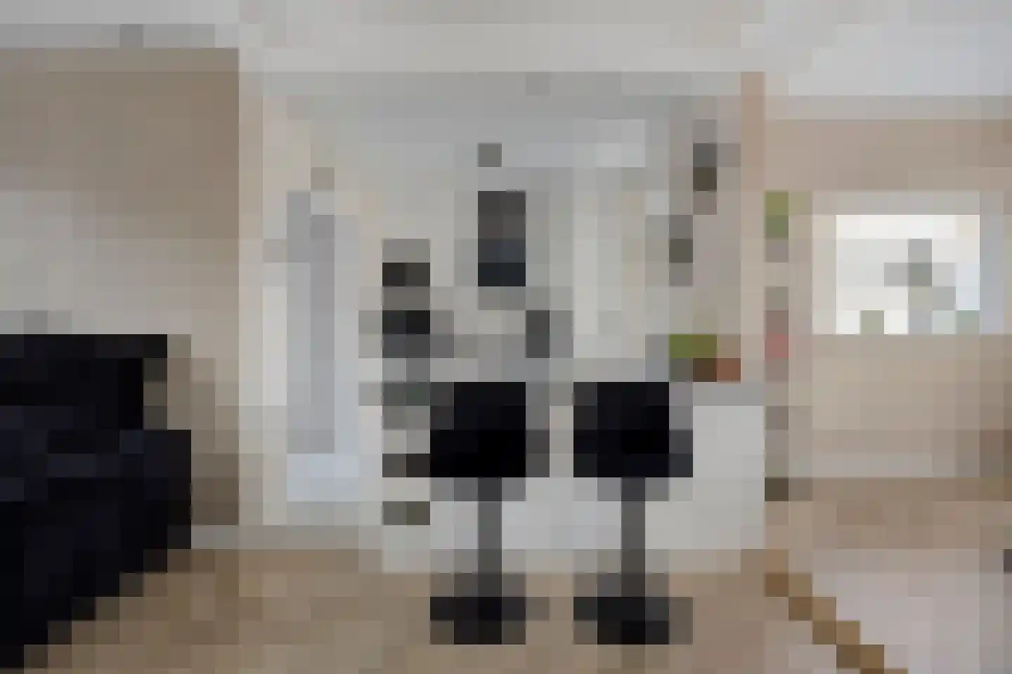 Monseigneur van Enckevoirtstraat 7 Sambeek thumbnail 15