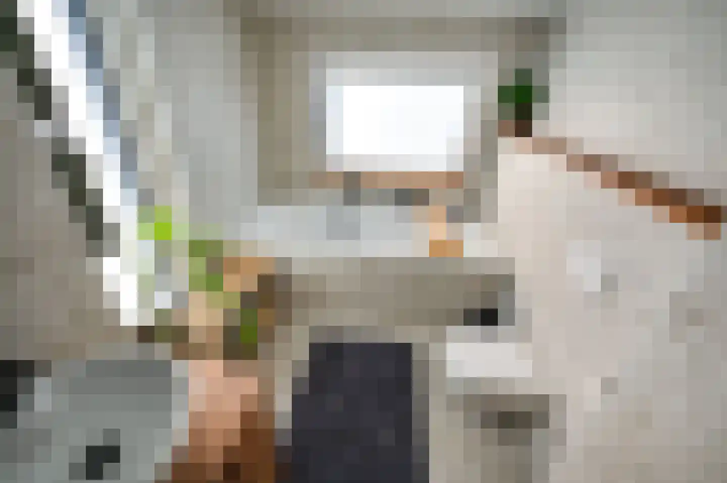 Monseigneur van Hooydonkstraat 19 Rijen thumbnail 40
