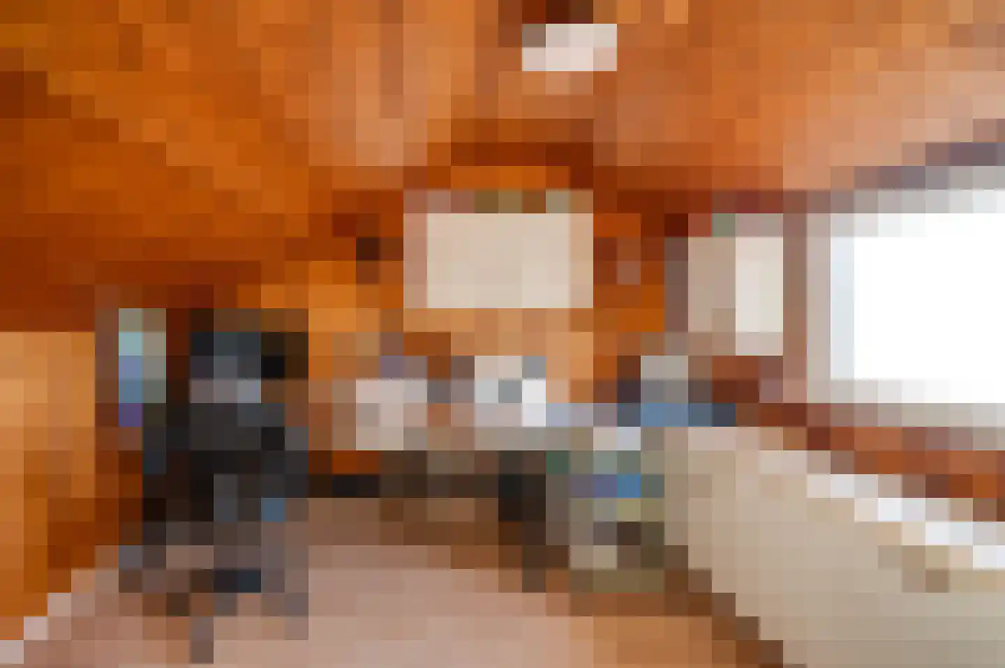 Monseigneur van Hooydonkstraat 19 Rijen thumbnail 46