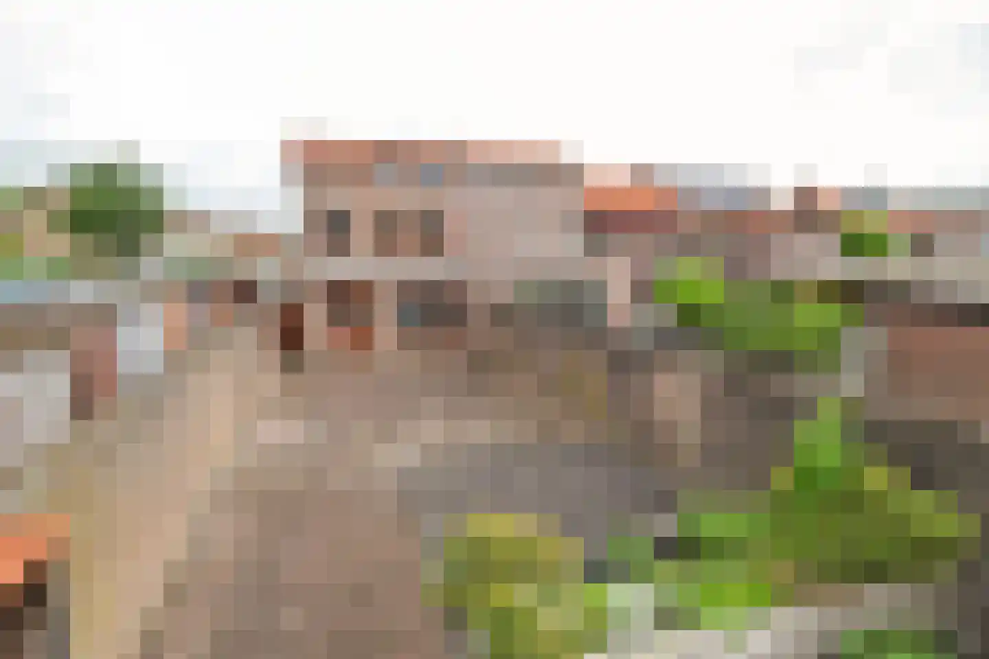 Monseigneur van Hooydonkstraat 39 Rijen thumbnail 31