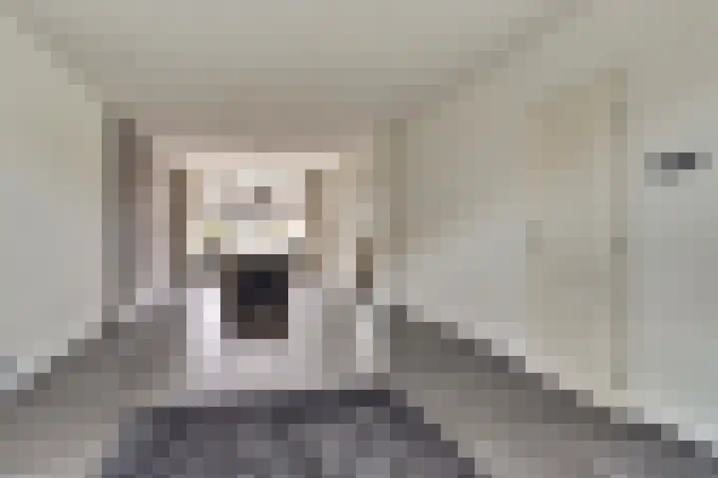 Monseigneur van Hooydonkstraat 39 Rijen thumbnail 8
