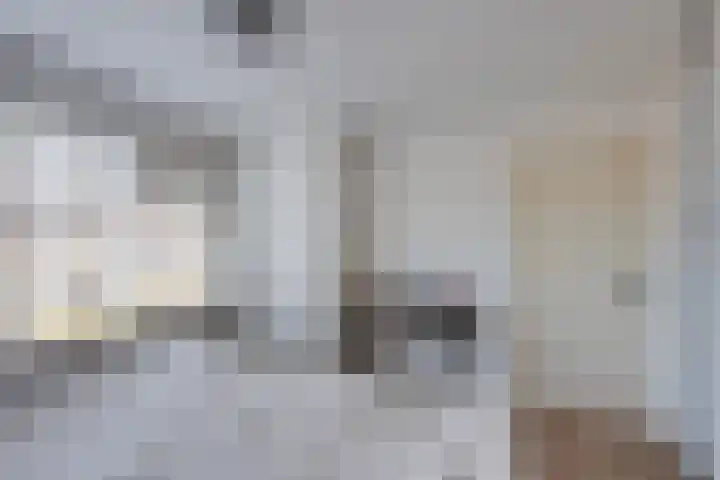 Monseigneur van Hooydonkstraat 41 Rijen thumbnail 22