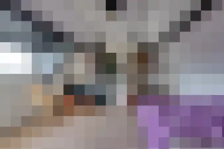 Monseigneur van Hooydonkstraat 41 Rijen thumbnail 32