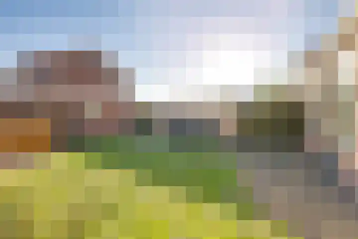 Monseigneur van Hooydonkstraat 41 Rijen thumbnail 37