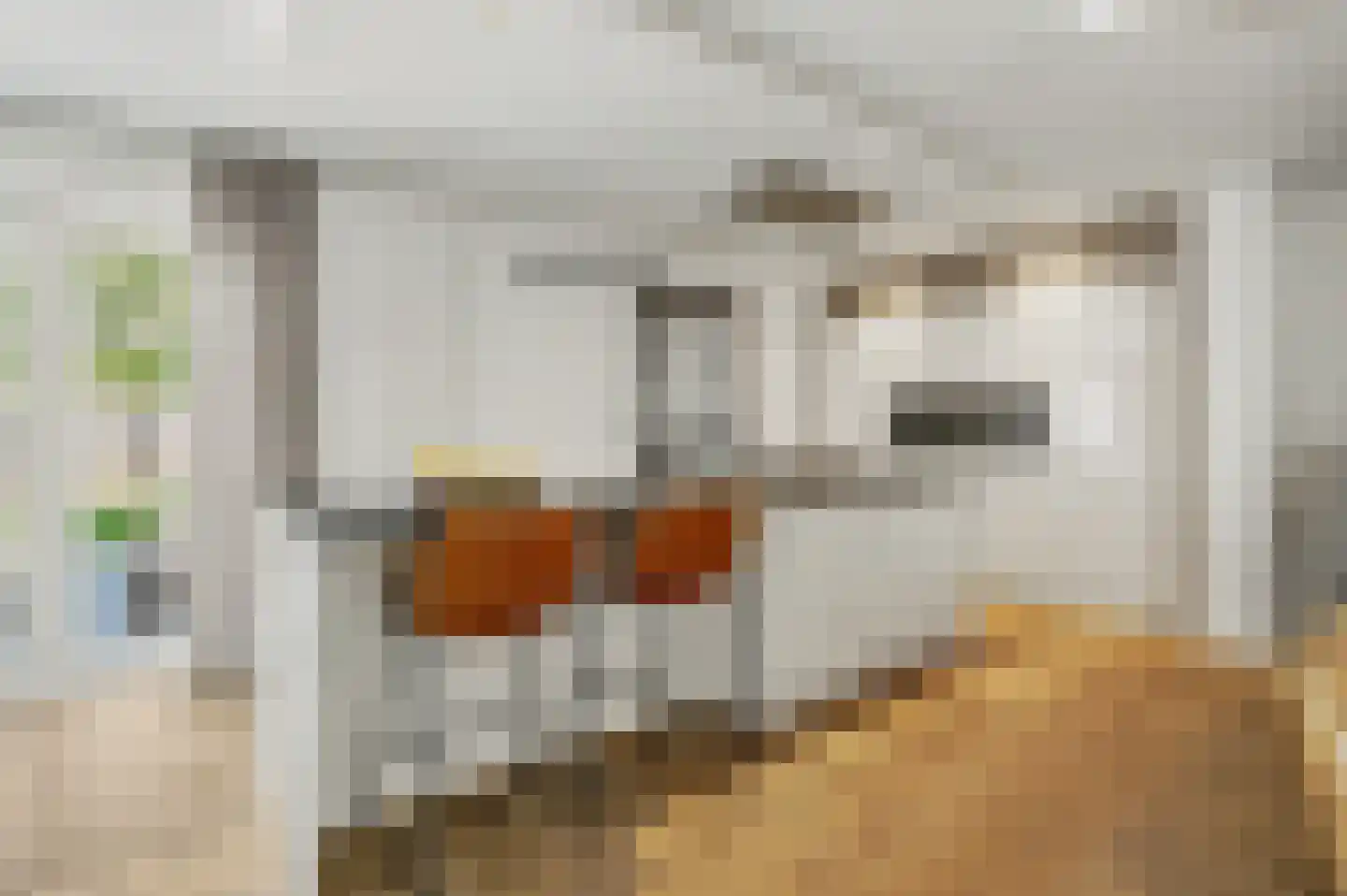 Monseigneur van Kesselstraat 13 Vlijmen thumbnail 14